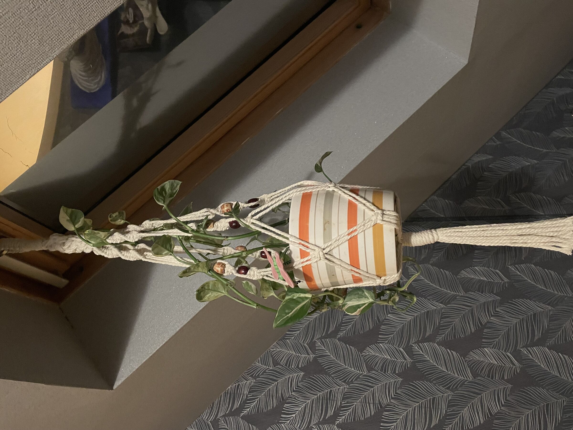 Blumenampel, Foto: (c) Simone Voß, Lizenz: (c) Simone Voß