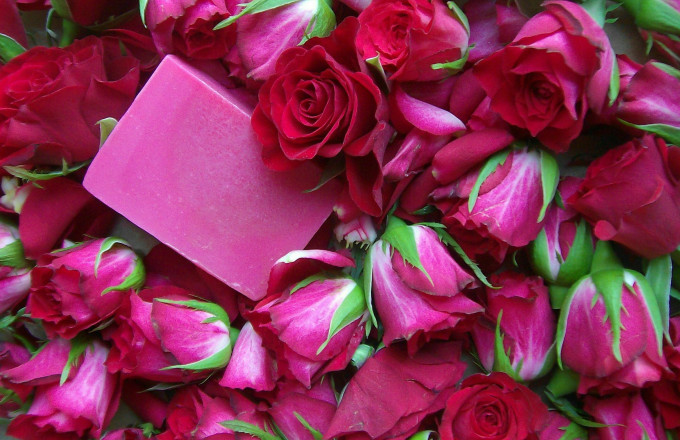 Rosenseife im Rosenbett, Foto: Gabi Sußdorf, Lizenz: Gabis Seifenmanufaktur