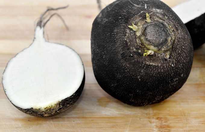 Rettich mit Heilkräften, Foto: Bicanski auf Pixnio