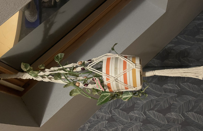 Blumenampel, Foto: (c) Simone Voß, Lizenz: (c) Simone Voß