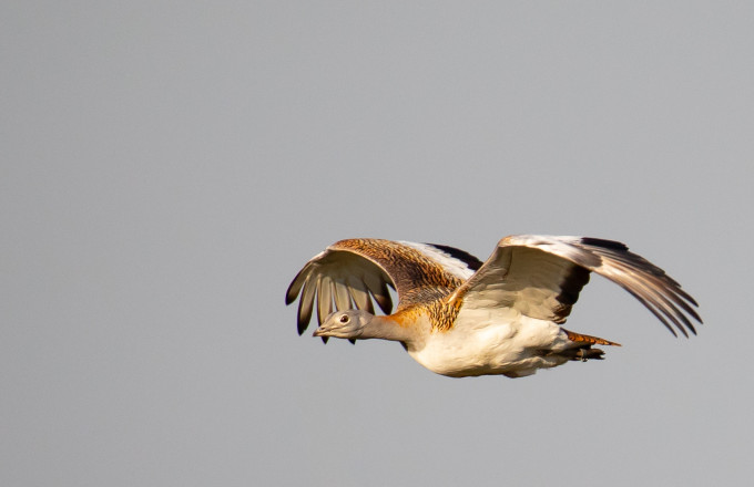 Foto: Johannes Müller