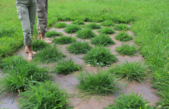 Auf dem Barfußwanderweg, Foto: Bansen/Wittig