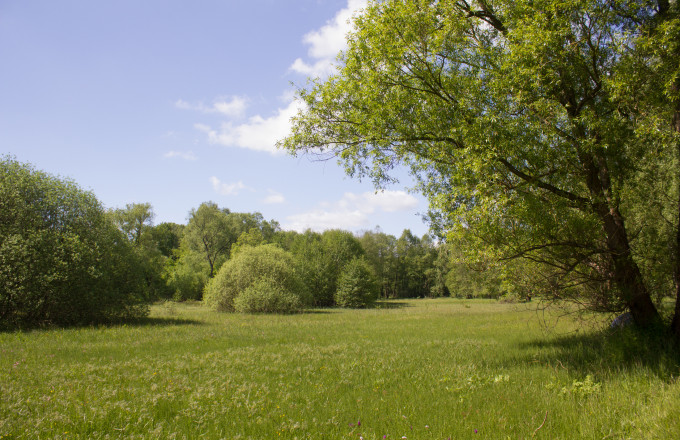 Belziger Burgwiesen, Foto: Bansen-Wittig