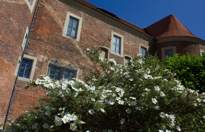 Burg Eisenhardt in Bad Belzig, Foto: Bansen-Wittig