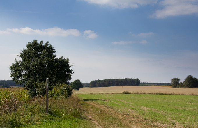 Wanderweg bei Lühnsdorf, Foto: Bansen-Wittig